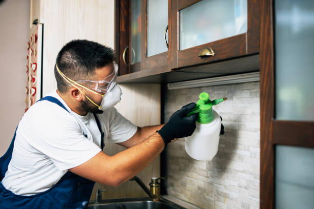 Best Exterminator Services  in Hilltop, SC