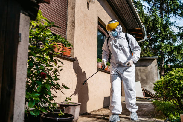 Best Ant Control Services  in Hilltop, SC