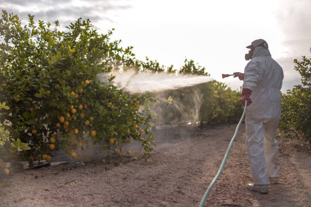 Best Pest Prevention Services  in Hilltop, SC