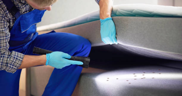 Best Pest Control Near Me  in Hilltop, SC