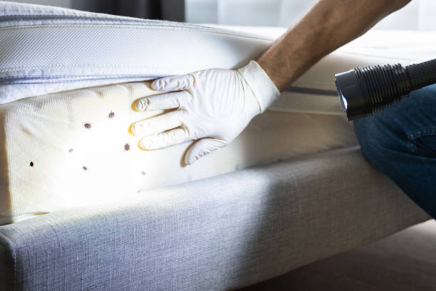 Best Pest Control Treatment  in Hilltop, SC