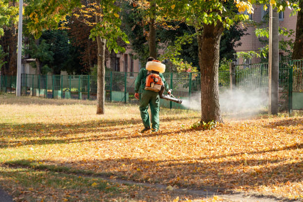 Best Pest Removal Services  in Hilltop, SC