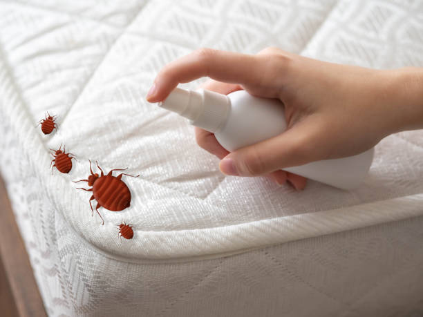 Trusted Hilltop, SC Pest Control Experts