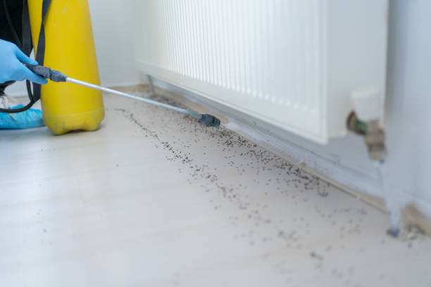 Best Affordable Pest Control Services  in Hilltop, SC