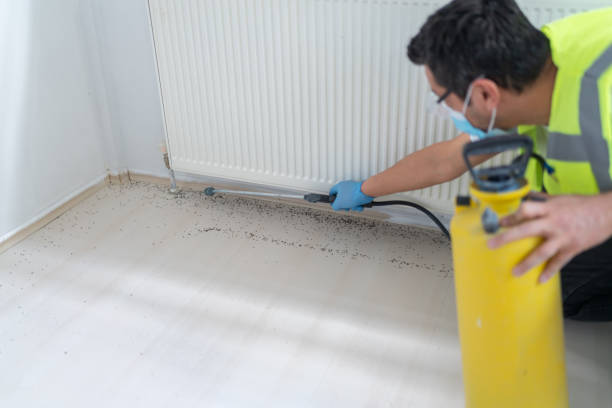 Pest Control Cost in Hilltop, SC